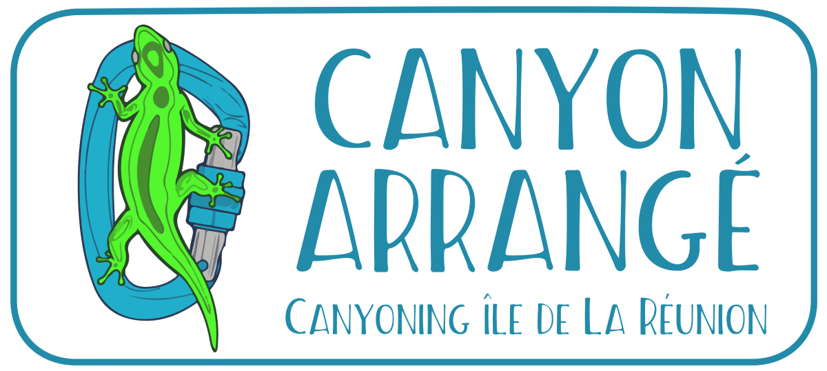 canyon arrange logo